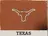 Texas logo