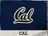 California logo