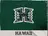 Hawaii logo