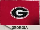 Georgia logo