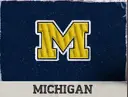 Michigan logo