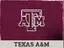 Texas A&M logo