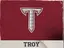 Troy logo