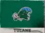 Tulane logo