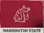 Washington State logo