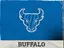 Buffalo logo