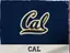 California logo