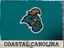 Coastal Carolina logo