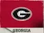 Georgia logo