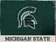 Michigan State logo