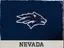 Nevada logo