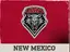 New Mexico logo
